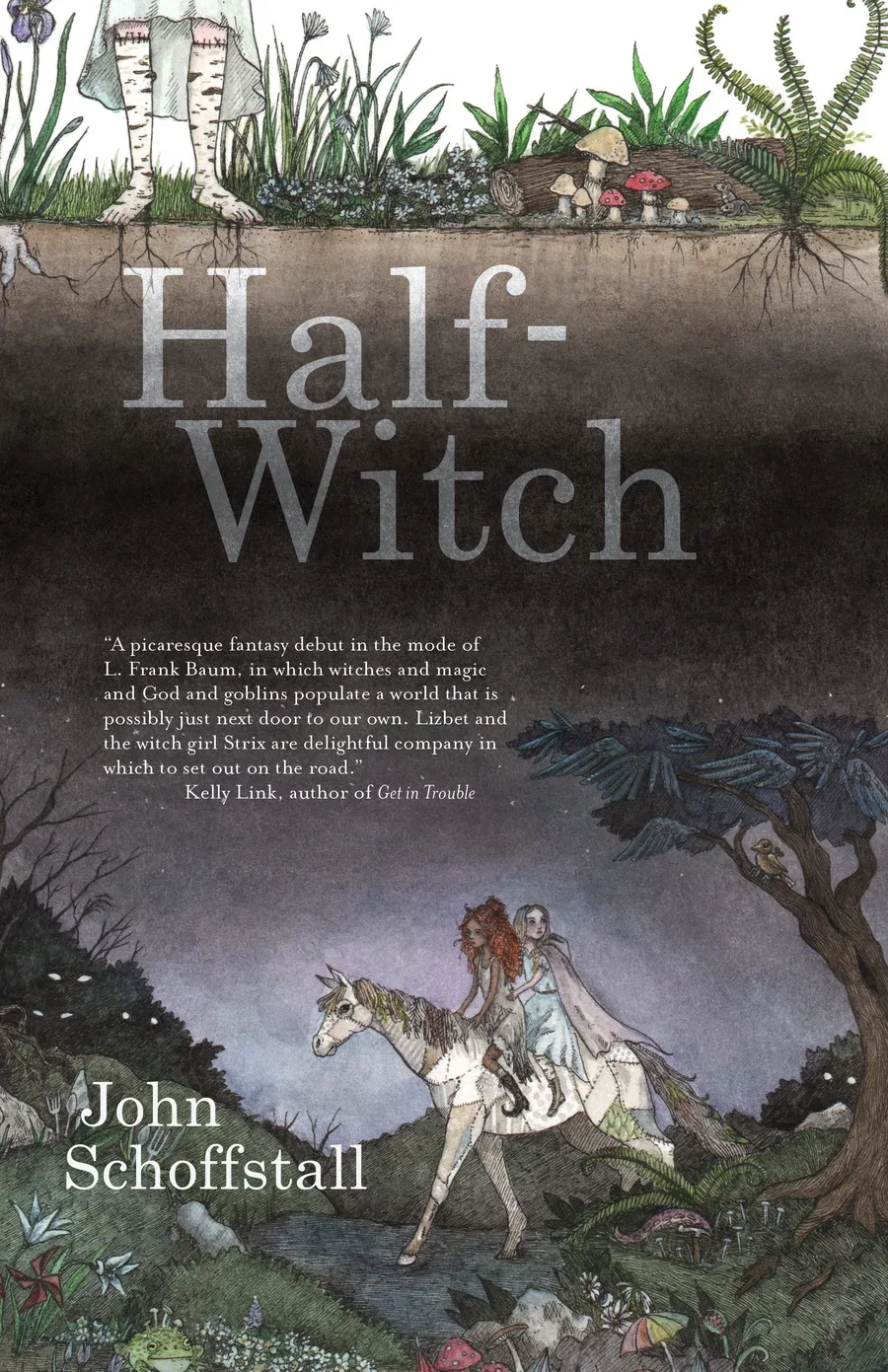 Cover of Half-Witch