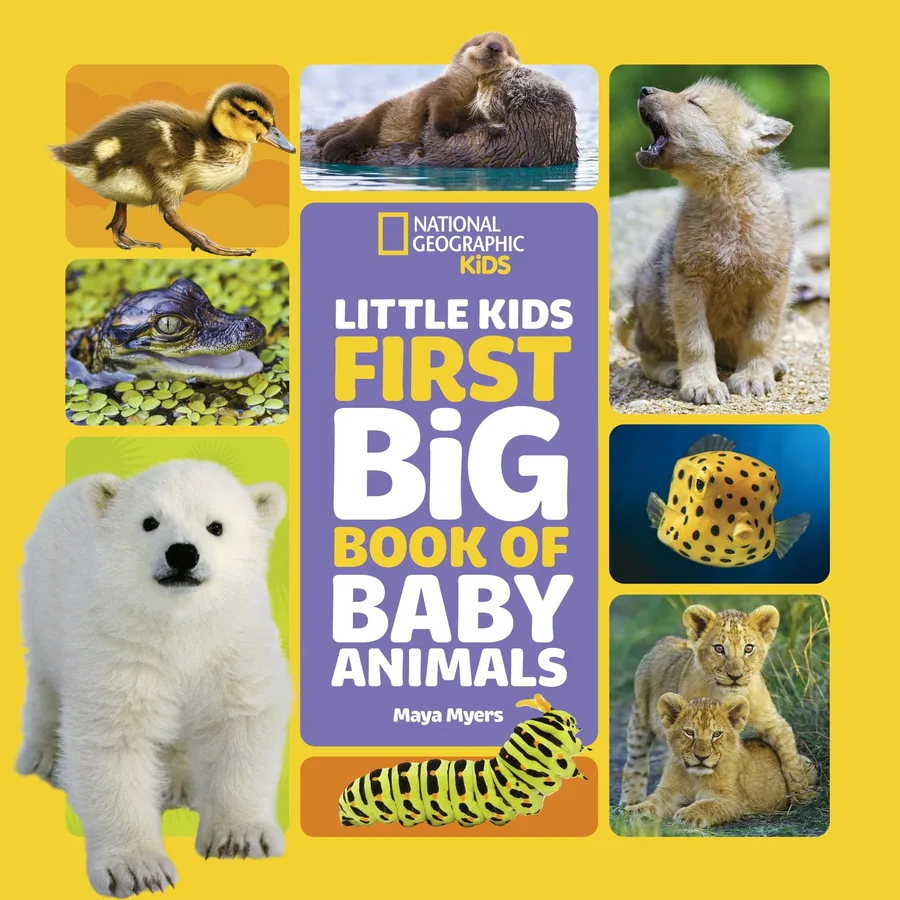 Cover of Little Kids First Big Book of Baby Animals
