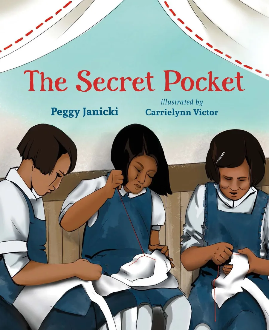 Cover of The Secret Pocket