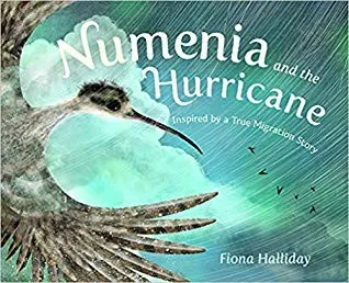 Cover of Numenia and the Hurricane: Inspired
