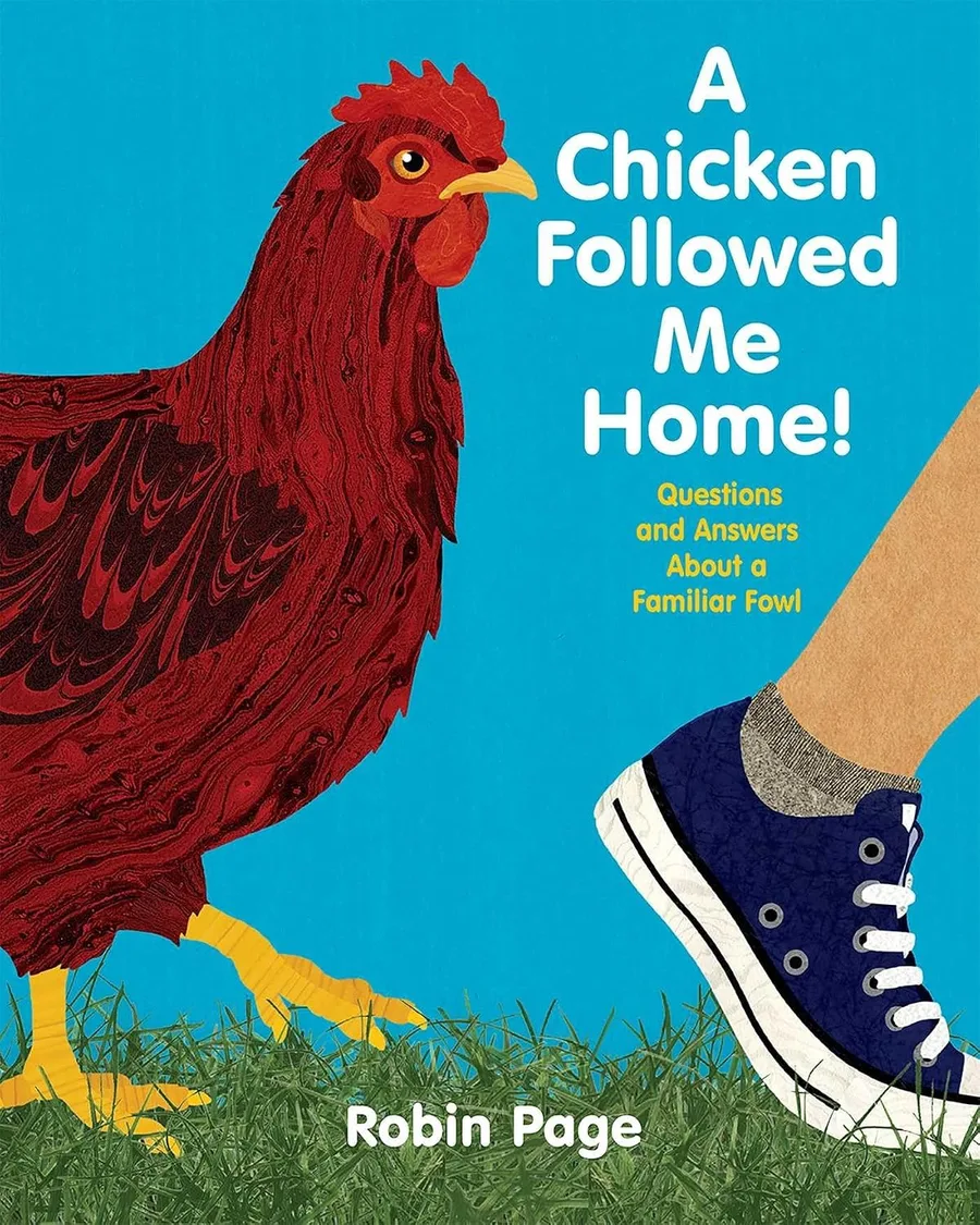 Cover of A Chicken Followed Me Home! Questions and Answers about a Familiar Fowl