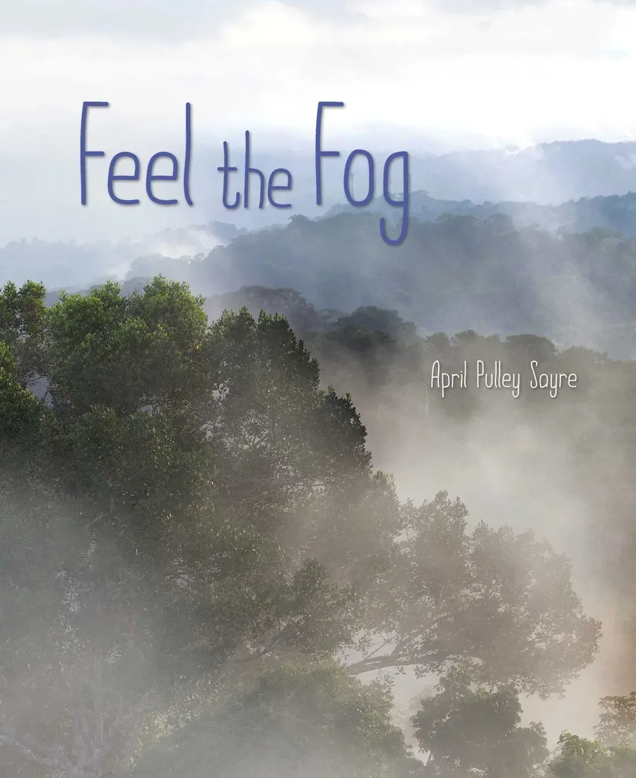 Cover of Feel the Fog (Weather Walks series)