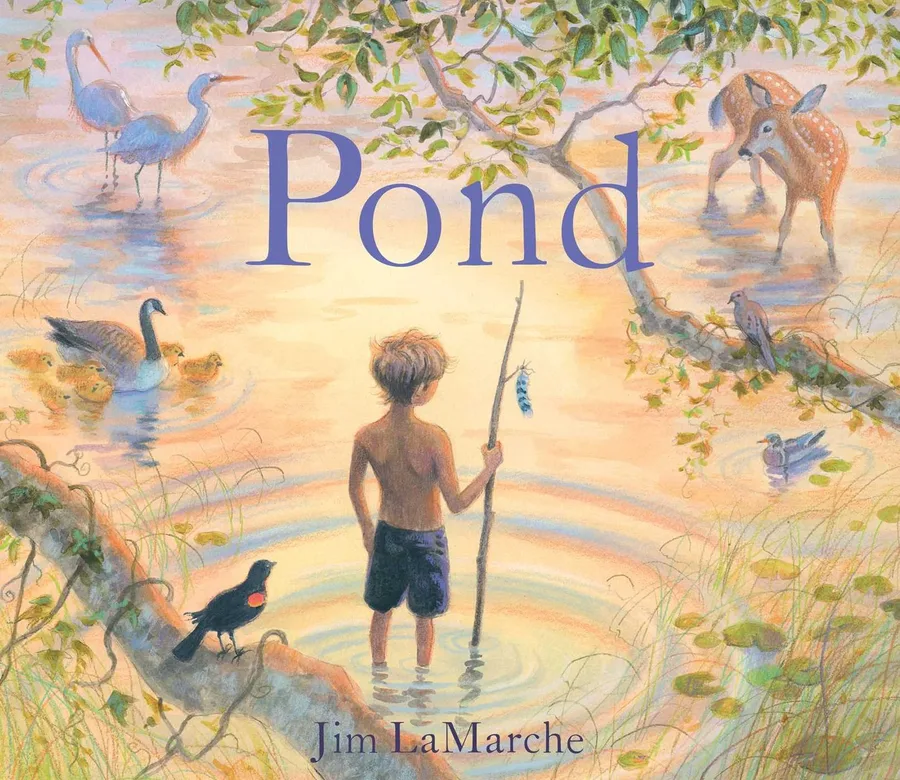 Cover of Pond
