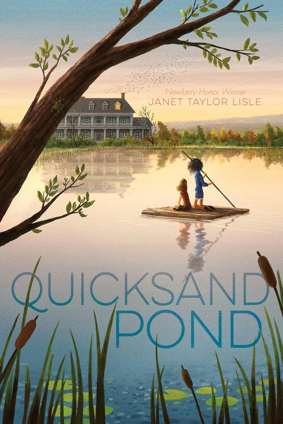 Cover of Quicksand Pond