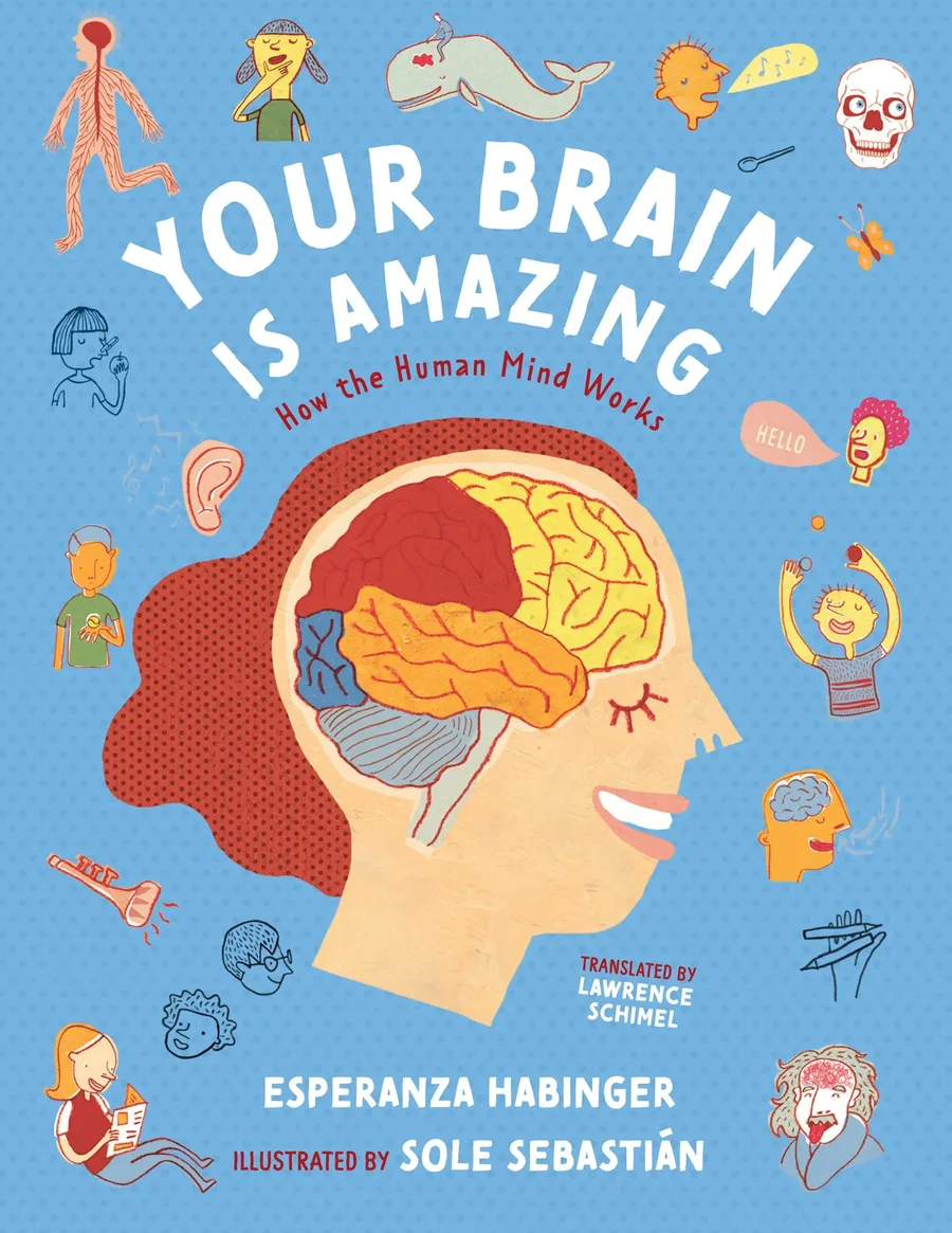 Cover of Your Brain Is Amazing: How the Human Mind Works