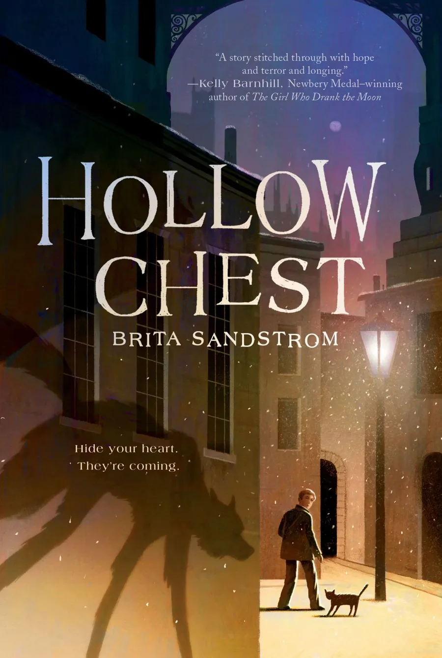 Cover of Hollow Chest