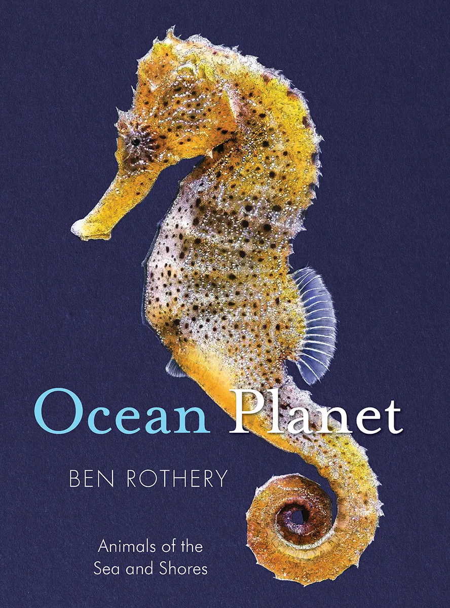 Cover of Ocean Planet: Animals of the Sea and Shore