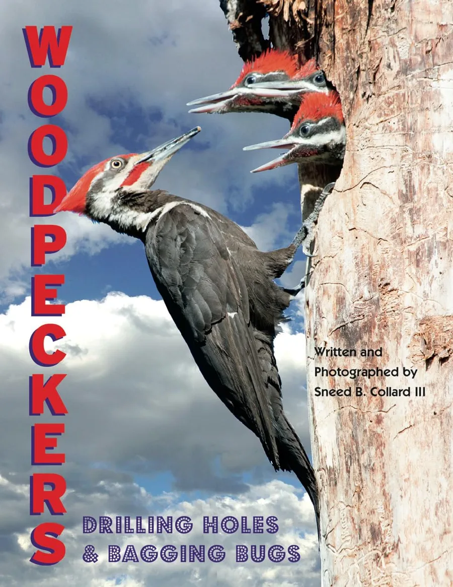 Cover of Woodpeckers: Drilling Holes and Bagging Bugs