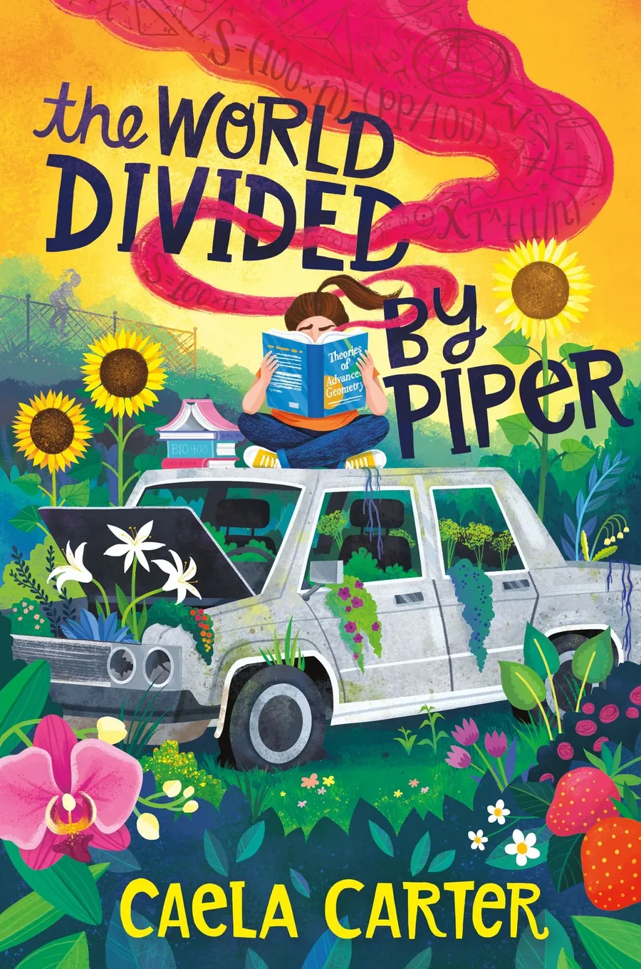 Cover of The World Divided
