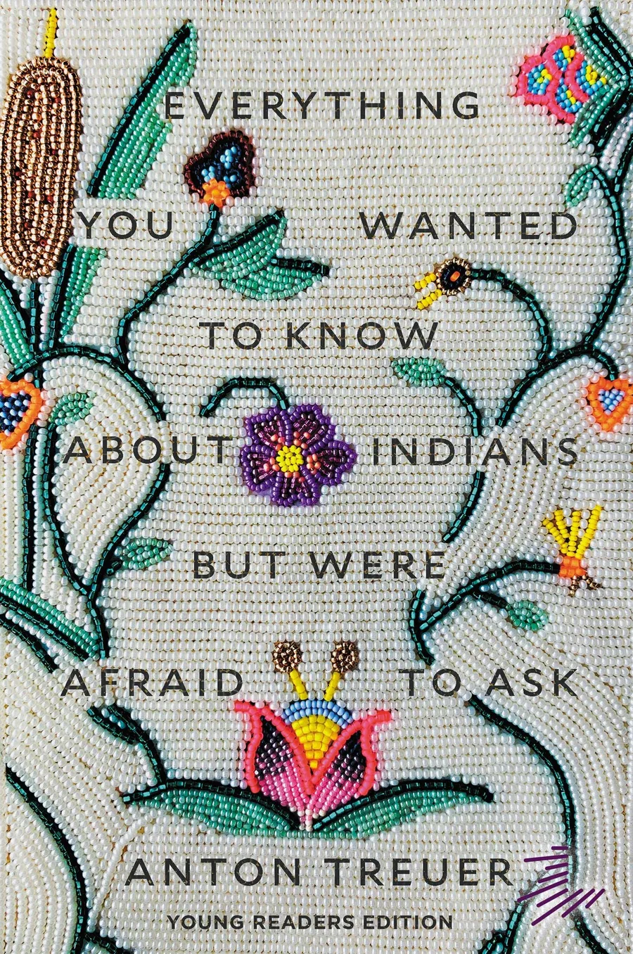 Cover of Everything You Wanted to Know About Indians but Were Afraid to Ask: Young Readers Edition
