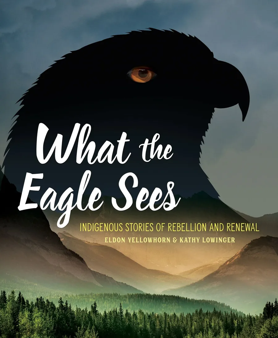 Cover of What the Eagle Sees: Indigenous Stories of Rebellion and Renewal