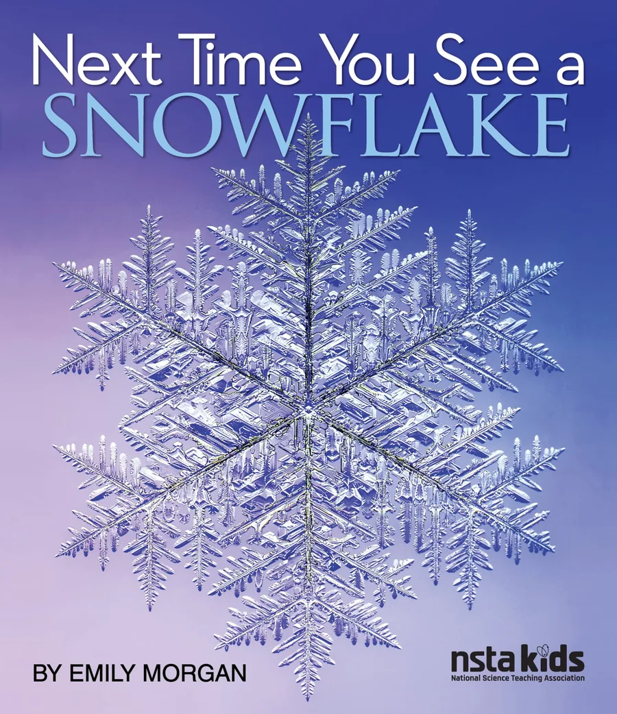 Cover of Next Time You See a Snowflake