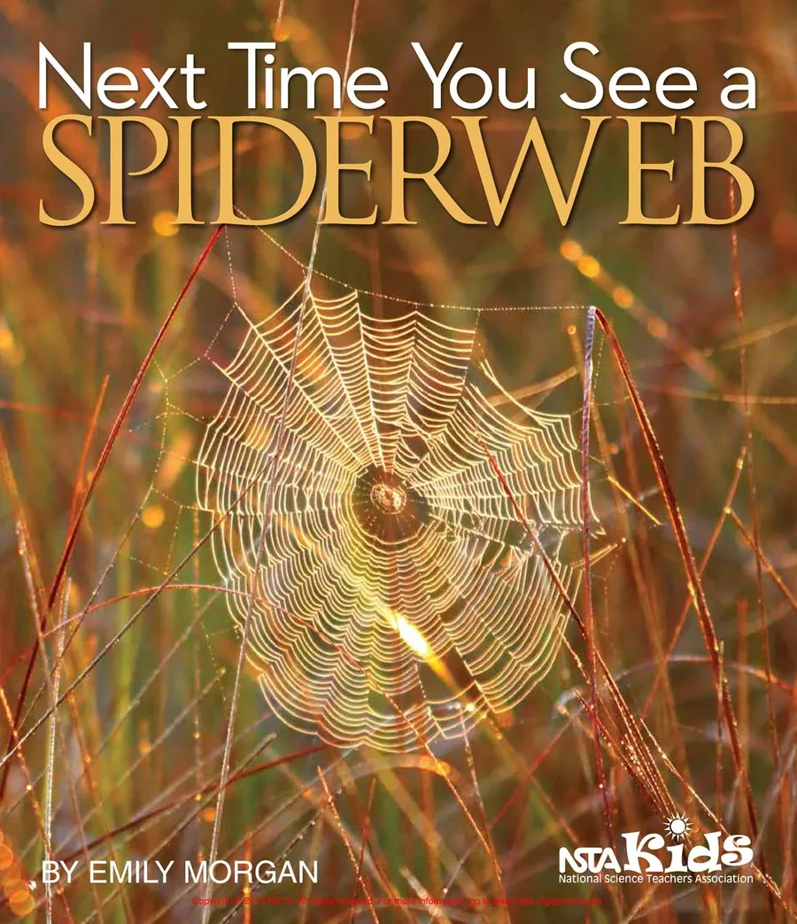 Cover of Next Time You See a Spiderweb