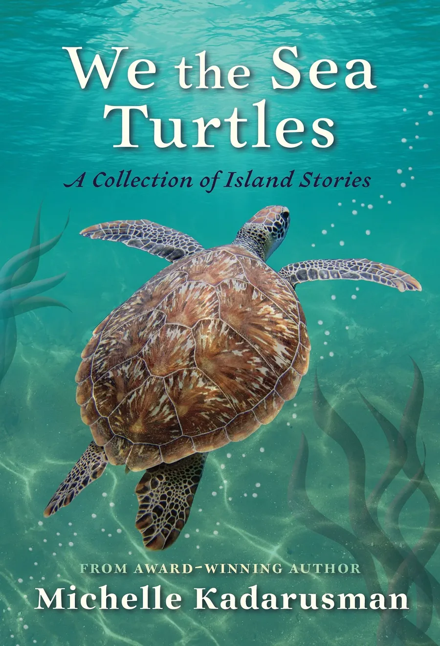 Cover of We the Sea Turtles: A Collection of Island Stories
