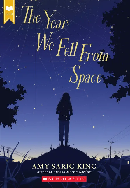 Cover of The Year We Fell from Space