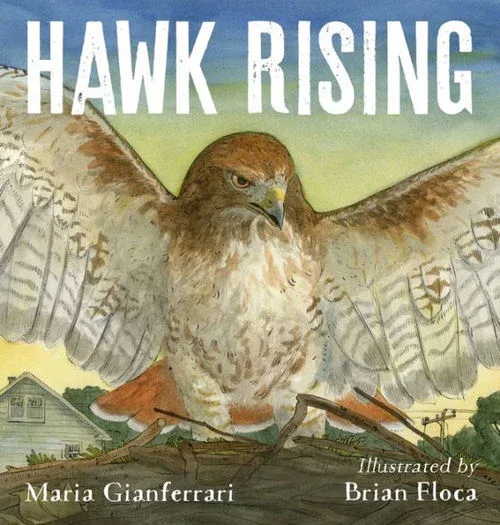 Cover of Hawk Rising