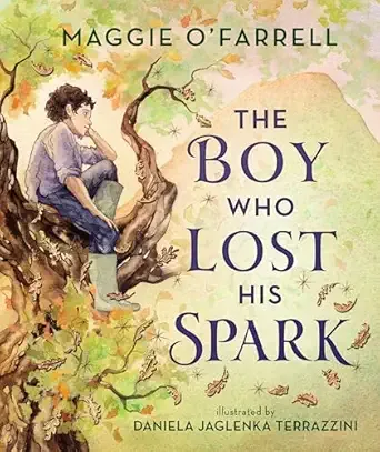 Cover of The Boy Who Lost His Spark