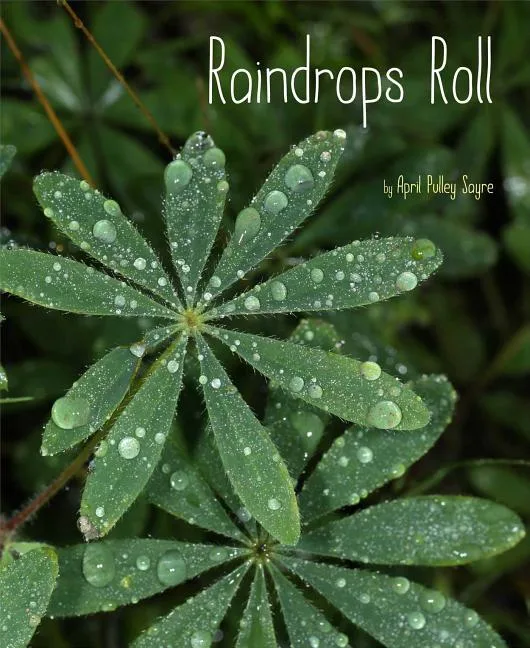 Cover of Raindrops Roll