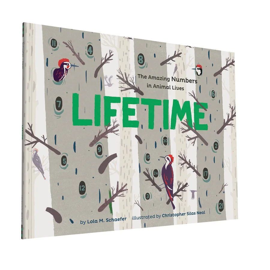 Cover of Lifetime: The Amazing Numbers in Animal Lives