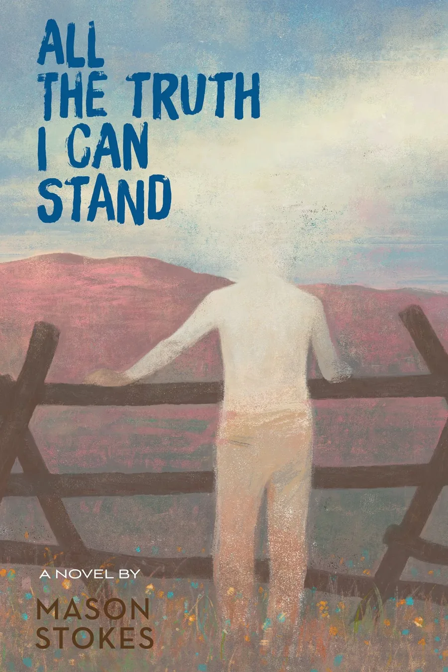 Cover of All the Truth I Can Stand