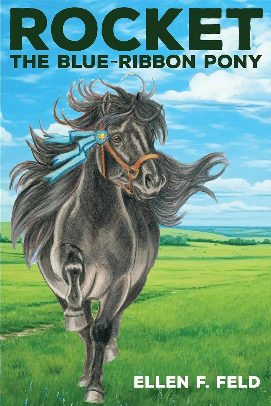 Cover of Rocket: The Blue-Ribbon Pony