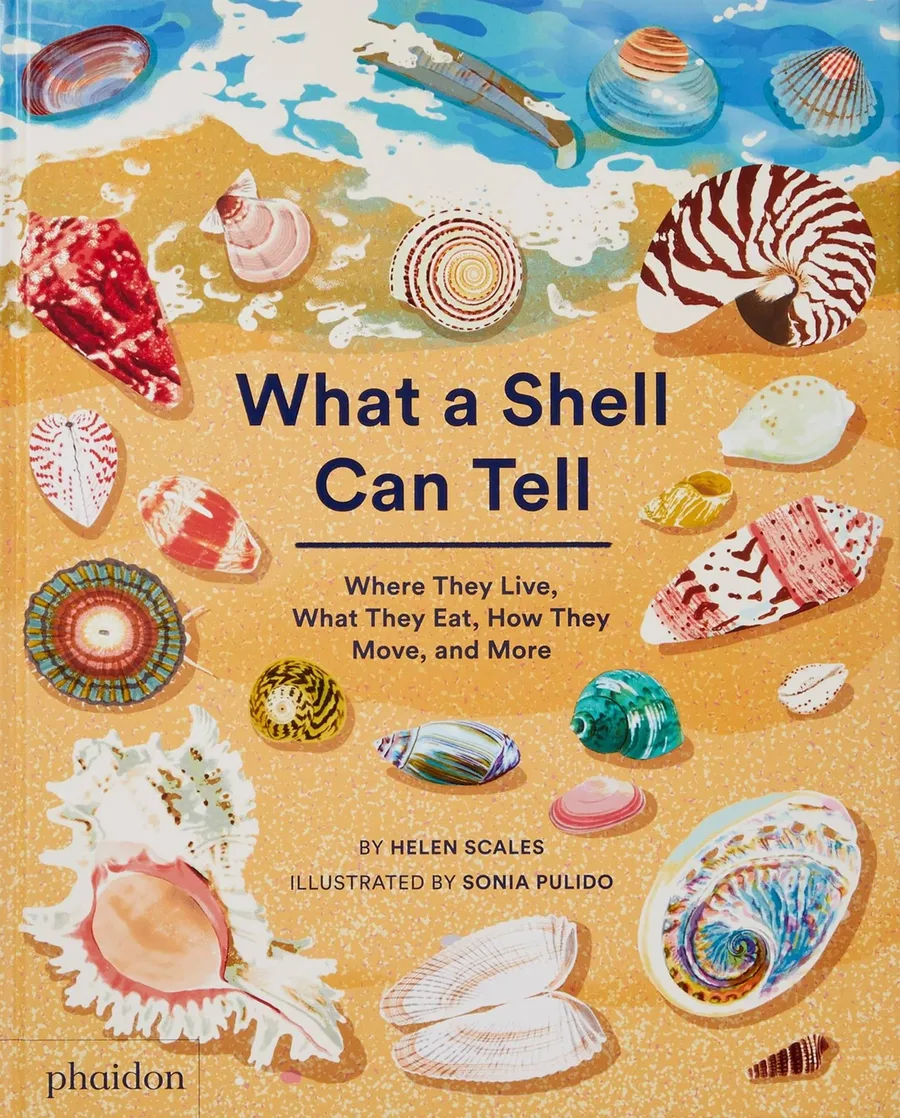 Cover of What a Shell Can Tell