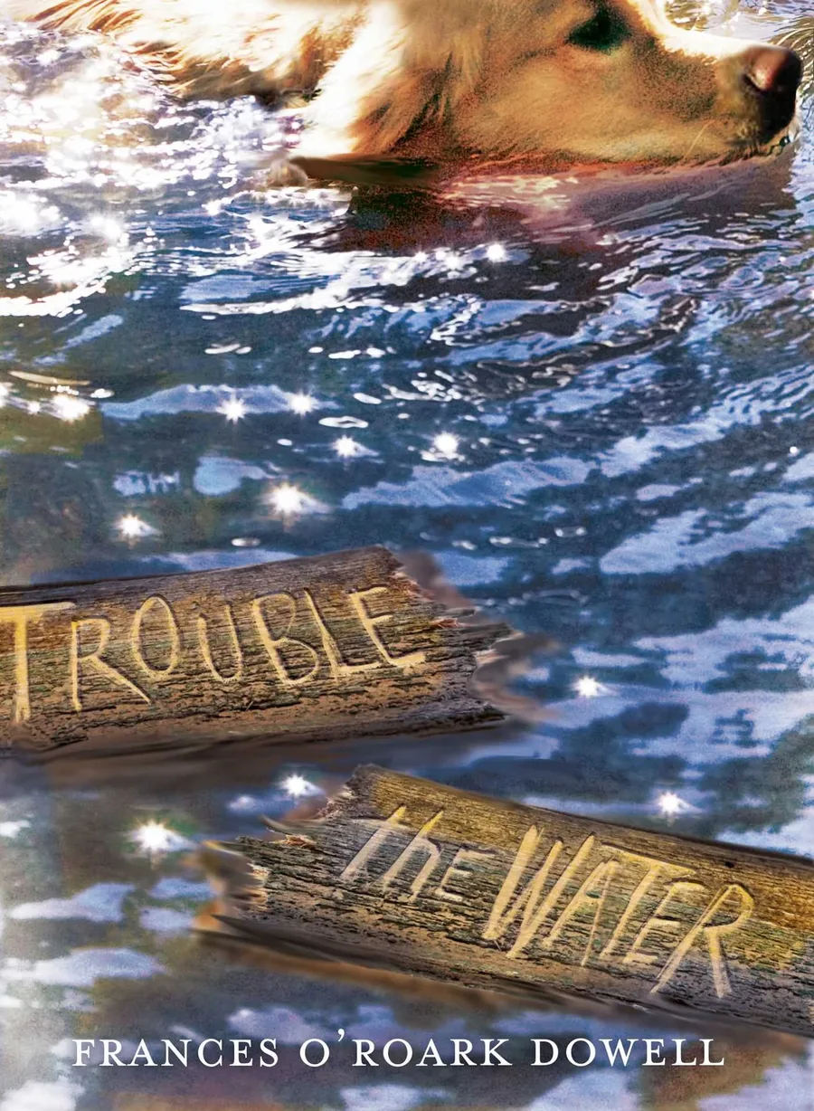 Cover of Trouble the Water