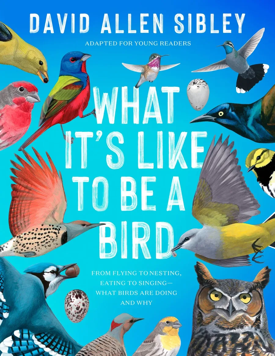 Cover of What It’s Like to Be a Bird: From Flying to Nesting, Eating to Singing—What Birds Are Doing, and Why