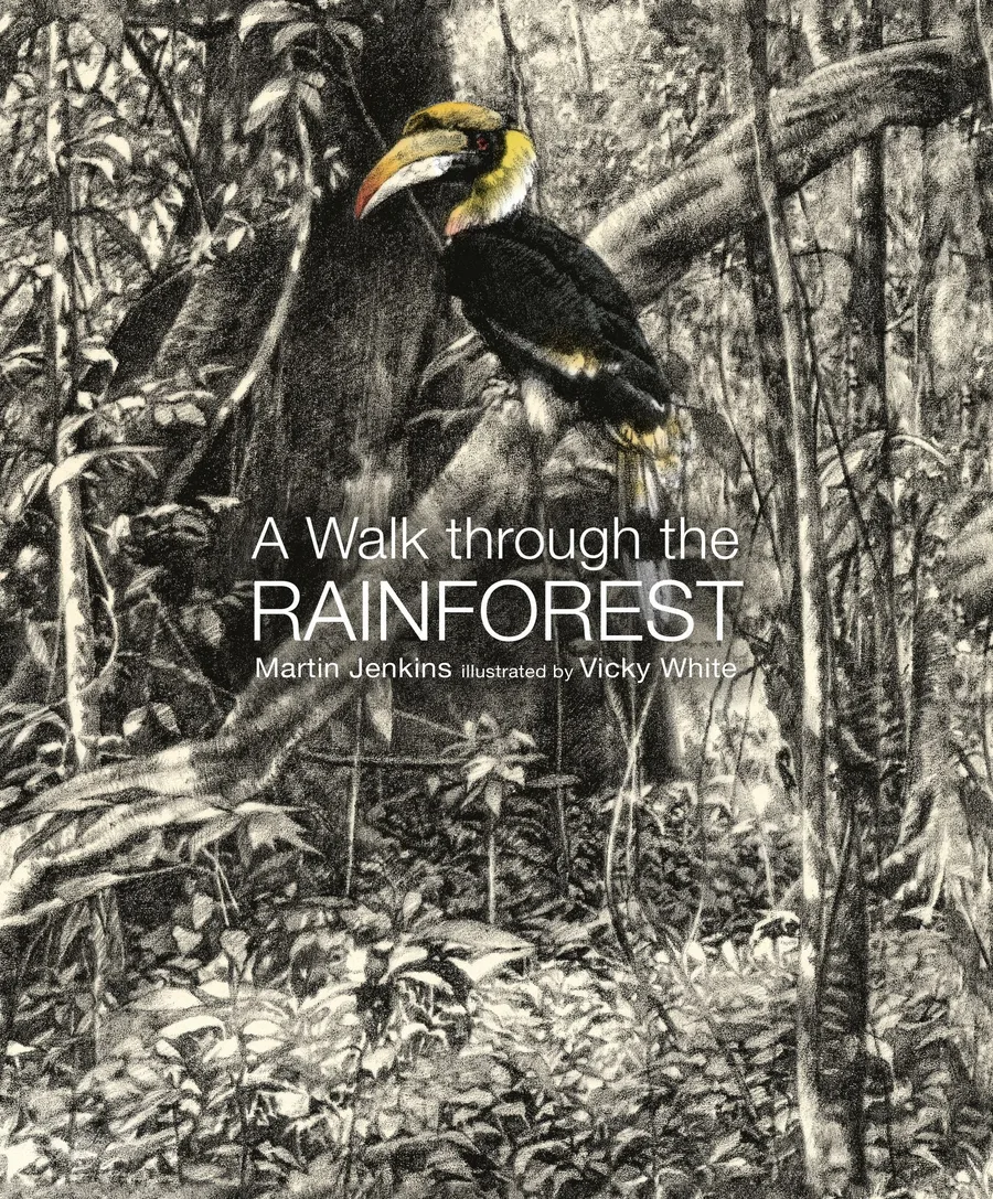 Cover of A Walk through the Rain Forest