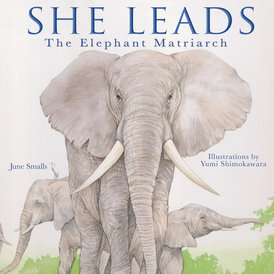 Cover of She Leads: The Elephant Matriarch