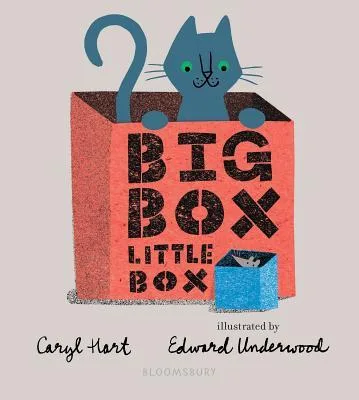 Cover of Big Box Little Box