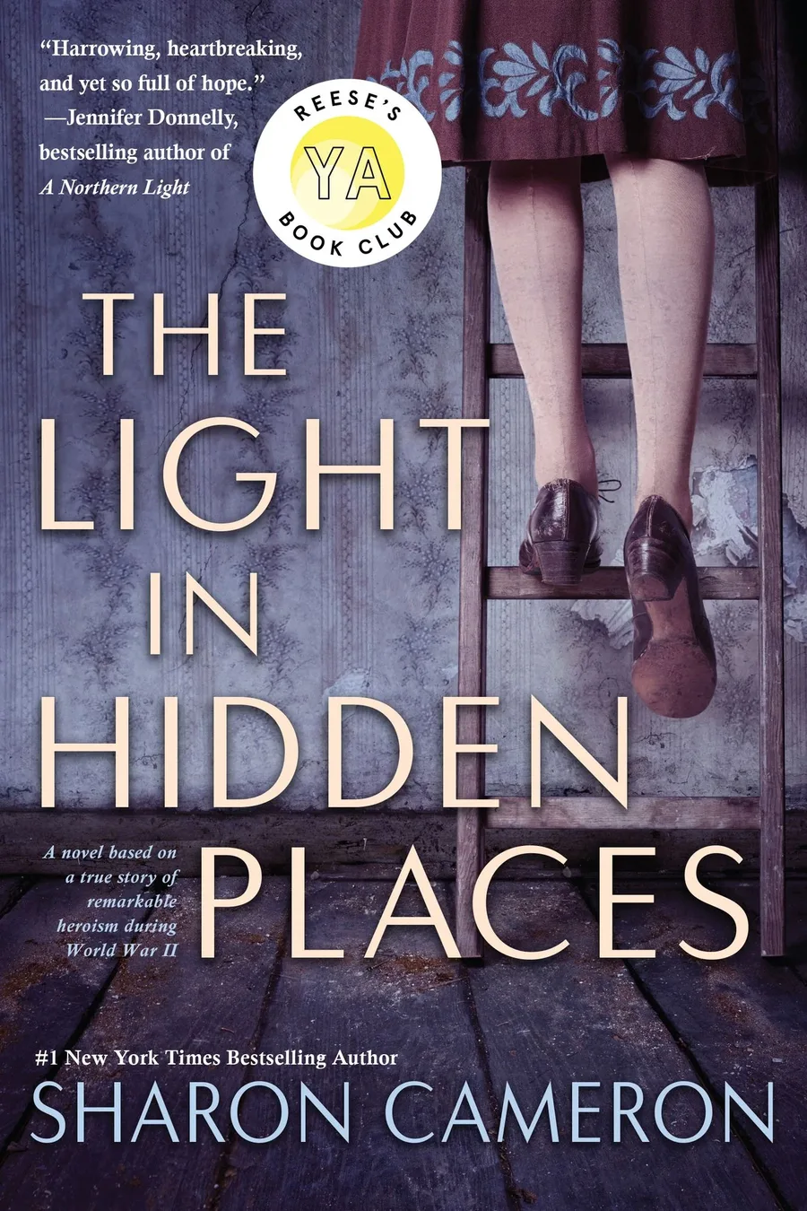 Cover of The Light in Hidden Places