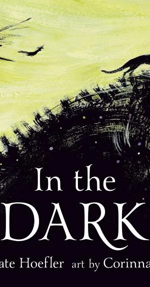 Cover of In the Dark