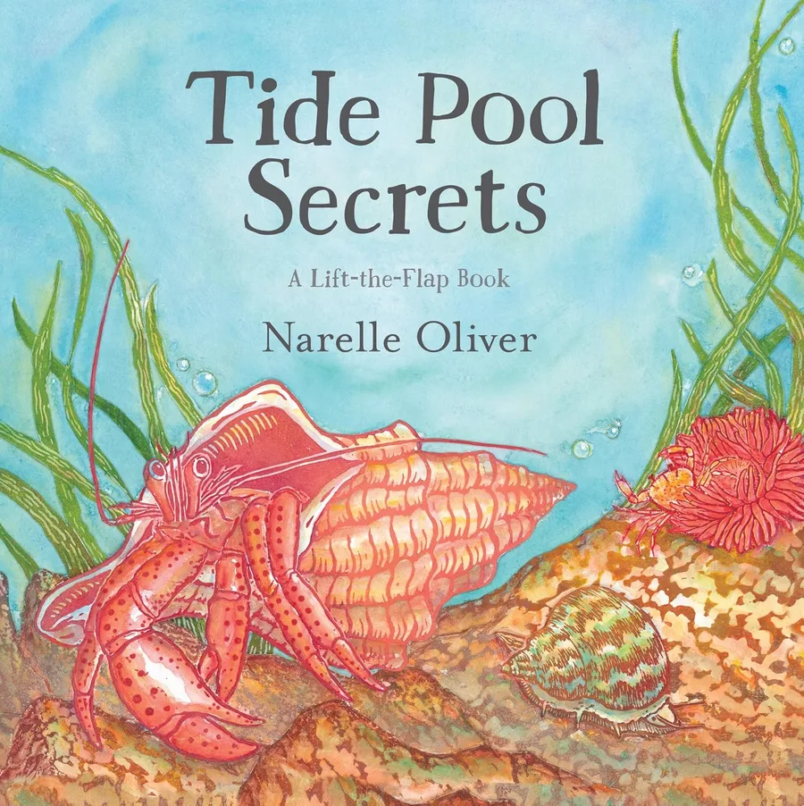 Cover of Tide Pool Secrets