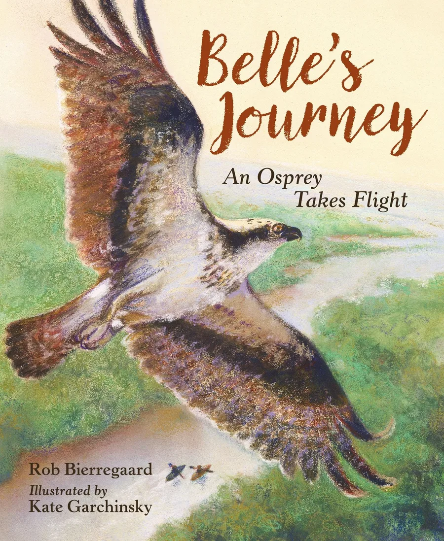 Cover of Belle’s Journey: An Osprey Takes Flight