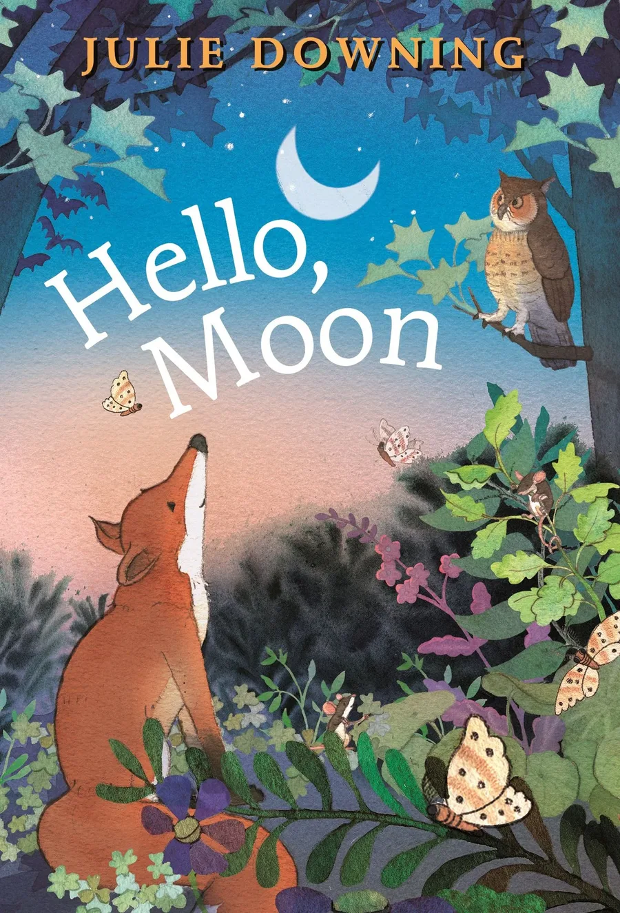 Cover of Hello, Moon
