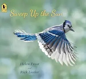 Cover of Sweep Up the Sun