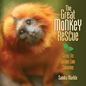 Cover of The Great Monkey Rescue: Saving the Golden Lion Tamarins