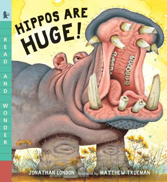 Cover of Hippos Are Huge!
