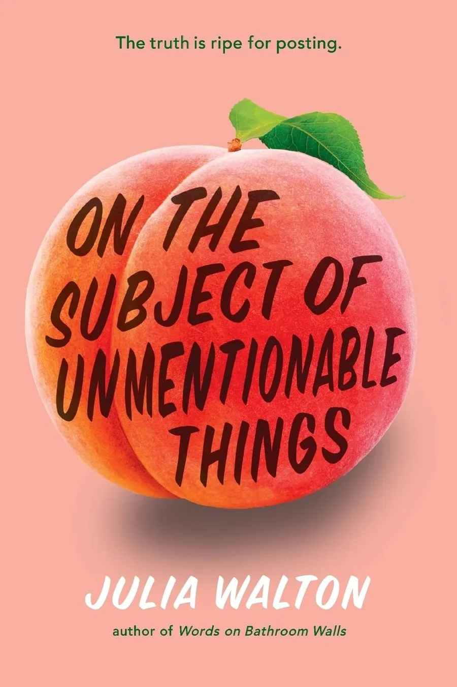 Cover of On the Subject of Unmentionable Things