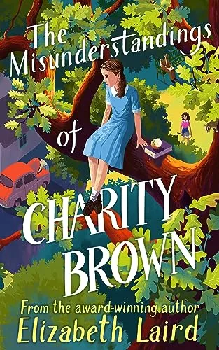 Cover of The Misunderstandings of Charity Brown