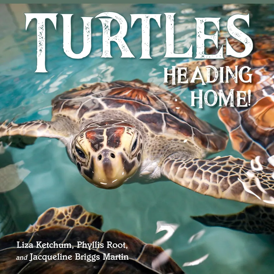 Cover of Turtles Heading Home!