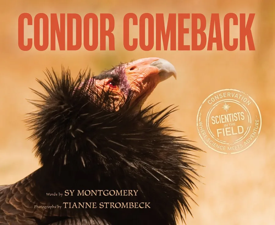 Cover of Condor Comeback