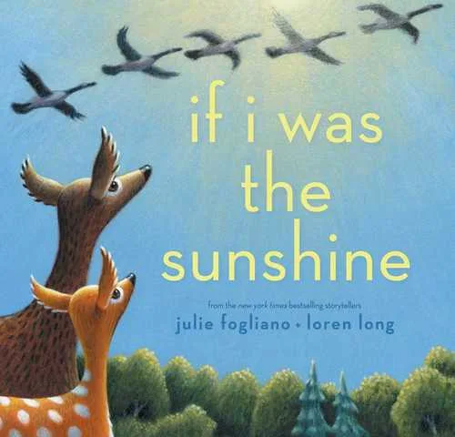 Cover of If I Was the Sunshine