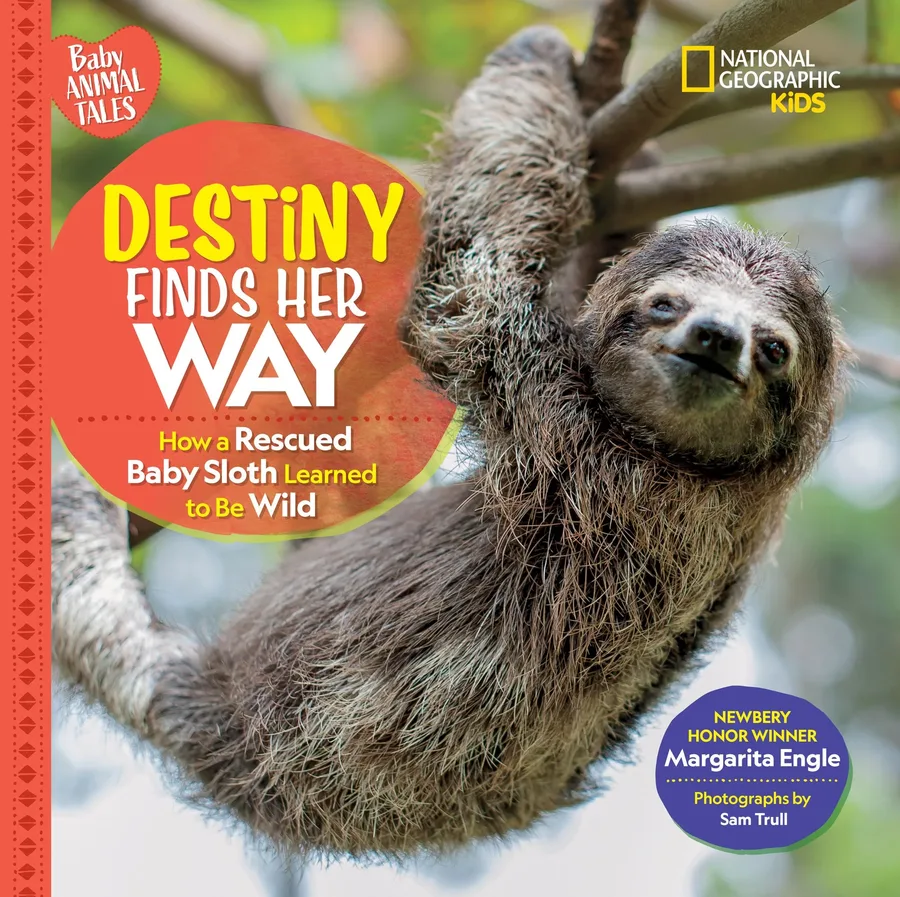 Cover of Destiny Finds Her Way: How a Rescued Baby Sloth Learned to be Wild