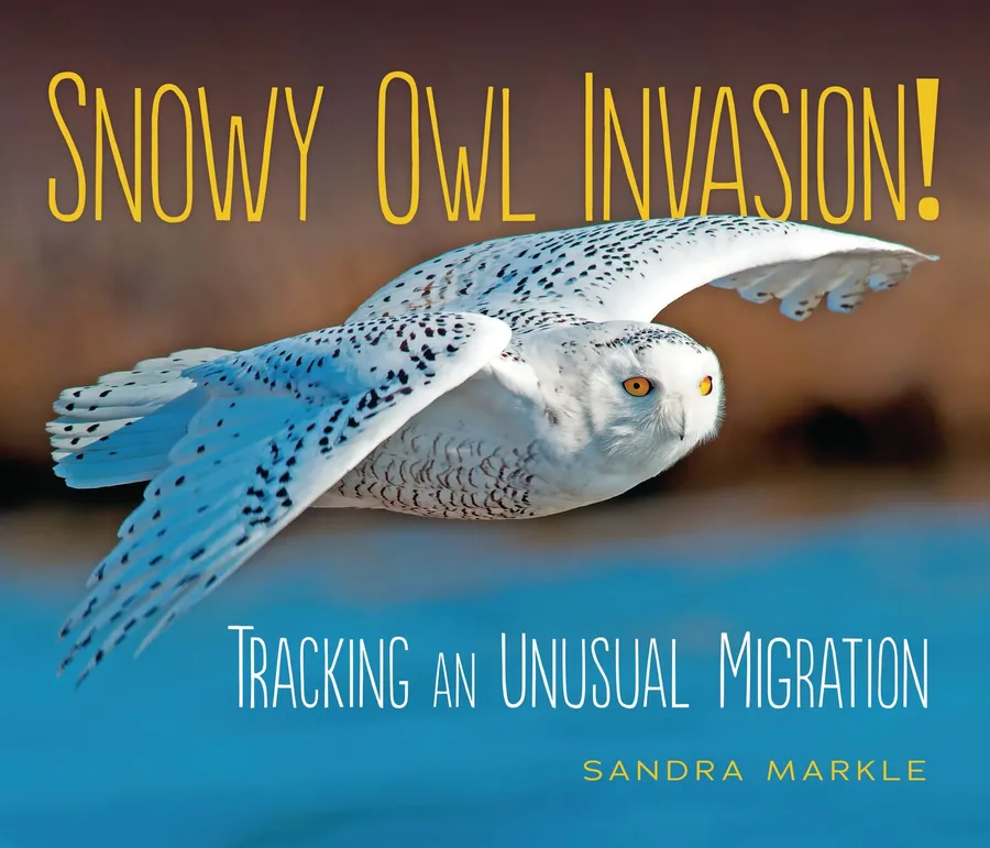 Cover of Snowy Owl Invasion!