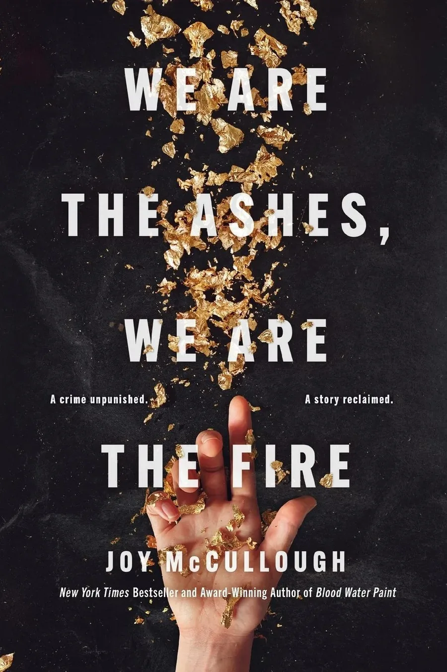 Cover of We Are the Ashes, We Are the Fire