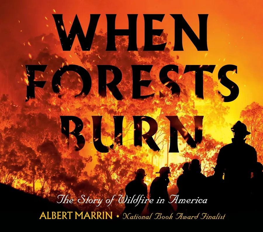 Cover of When Forests Burn: The Story of Wildfire in America