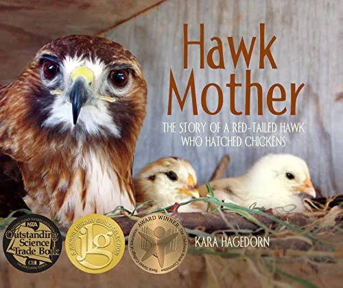 Cover of Hawk Mother: The Story of a Red-Tailed Hawk Who Hatched Chickens