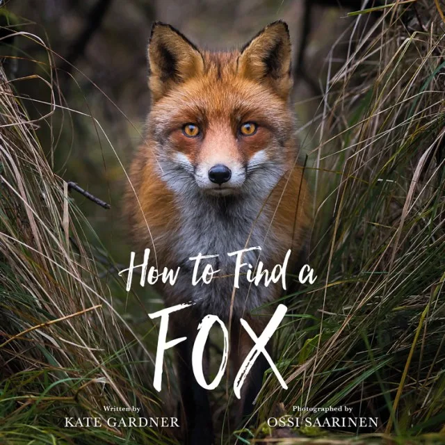 Cover of HOW TO FIND A FOX